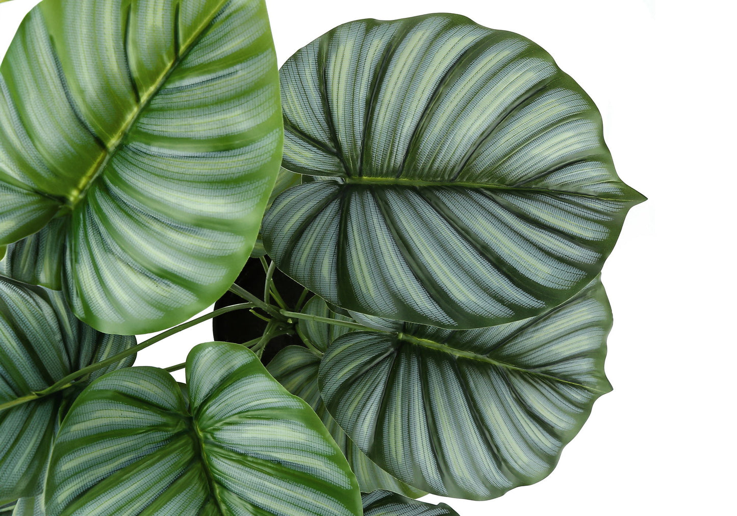 24" Tall, Artificial Plant, Calathea, Indoor, Faux, Fake, Table, Greenery, Potted, Real Touch, Decorative - Green / Black 8th Street