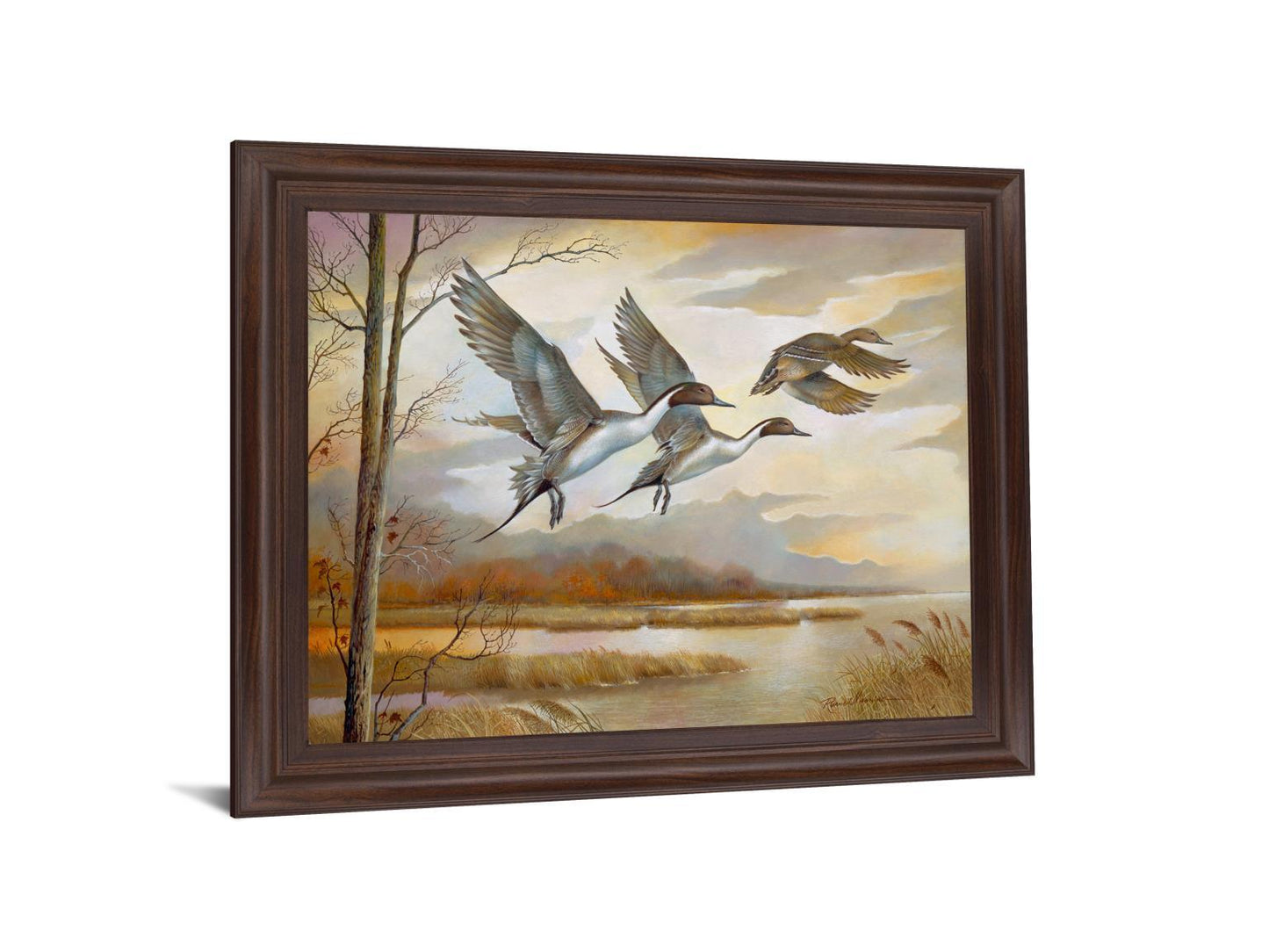 Soaring Pintails - 28" x 34" Framed Wall Art Classy Art