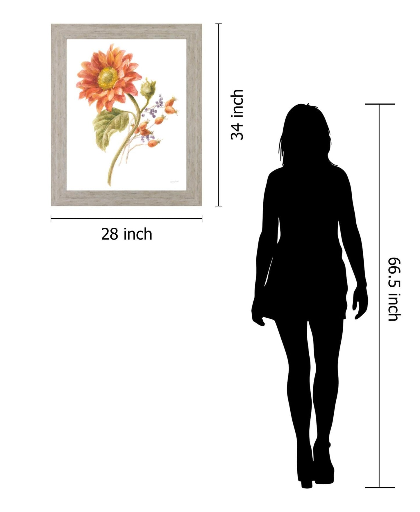 Sunlit Marigold - 28" x 34" Framed Wall Art Classy Art
