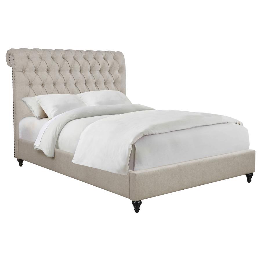 Devon - Upholstered Panel Bed CoasterEssence