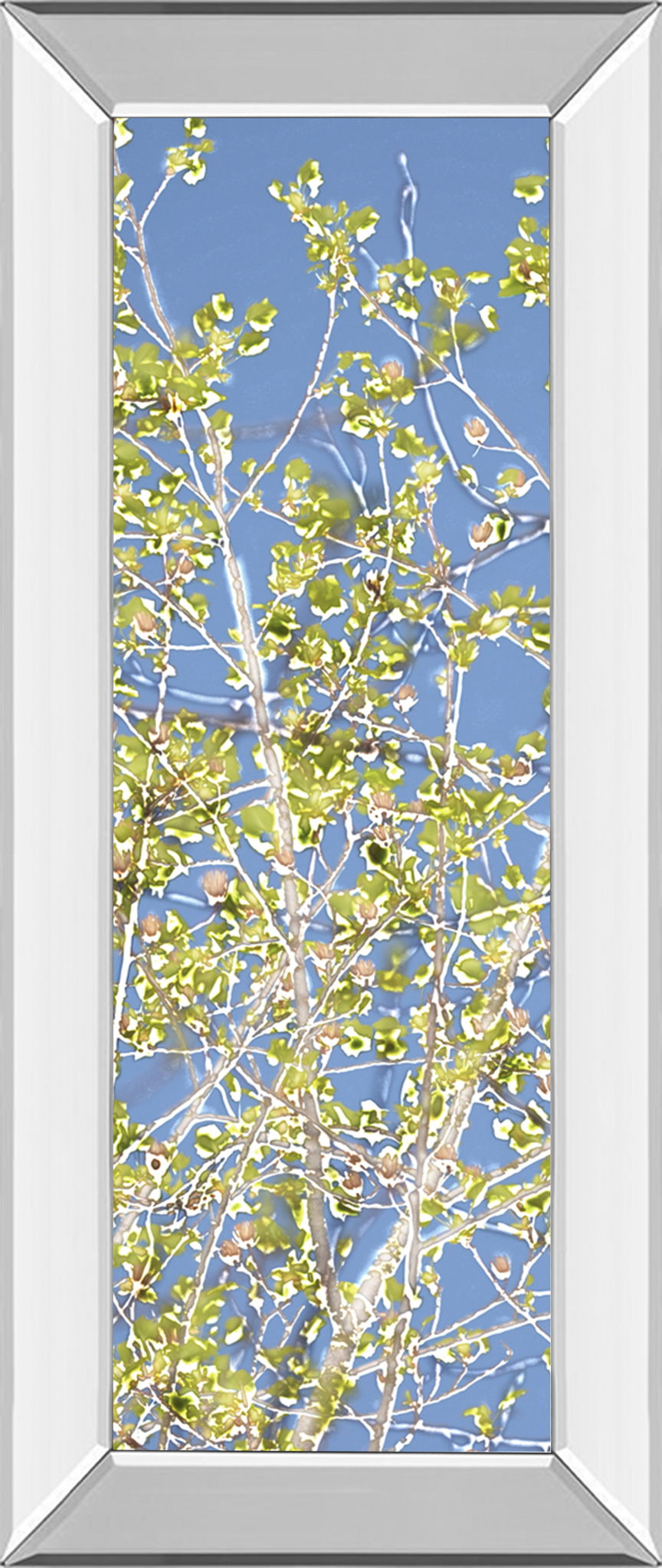 Spring Poplars Il By Sharon Chandler - Mirror Framed Print Wall Art - Green Classy Art