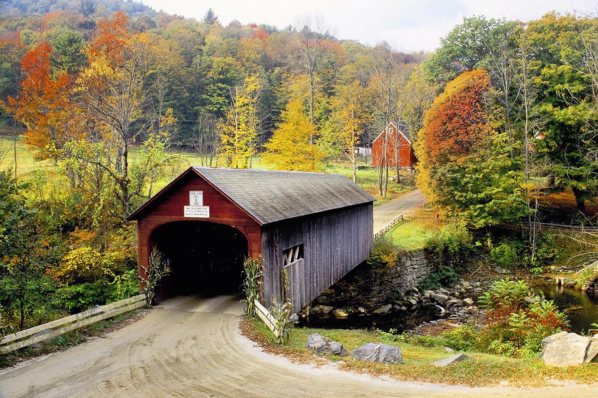 Vermont Covered Bridge By Danita Delimont (Small) - Dark Green Classy Living