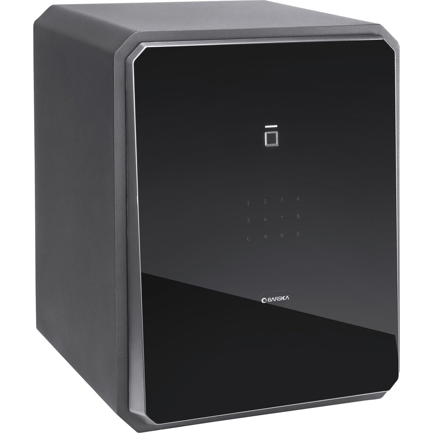 1.15 Cu. Ft Touchscreen Biometric Keypad Security Safe - Black Daily Nest