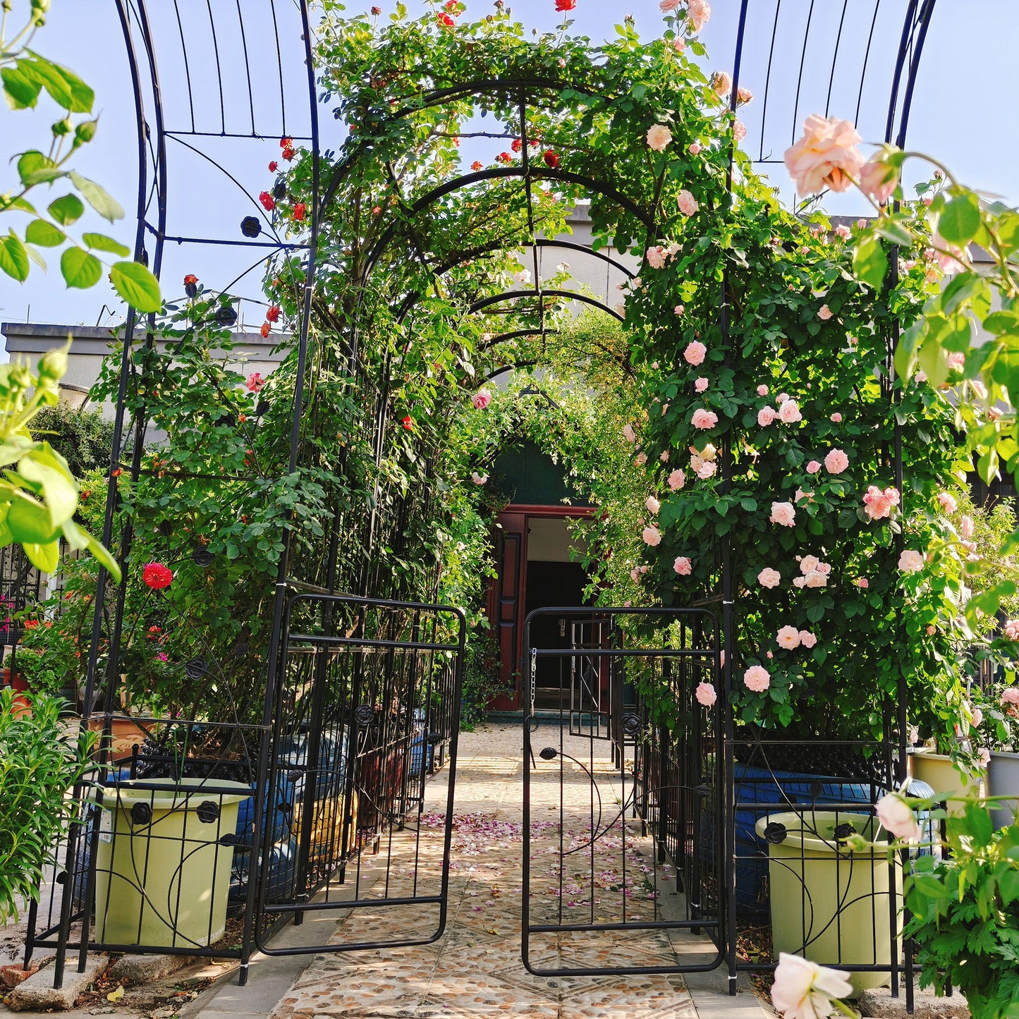 Metal Garden Arch With Gate Wide High Climbing Plants Support Rose Arch Outdoor - Black Daily Nest