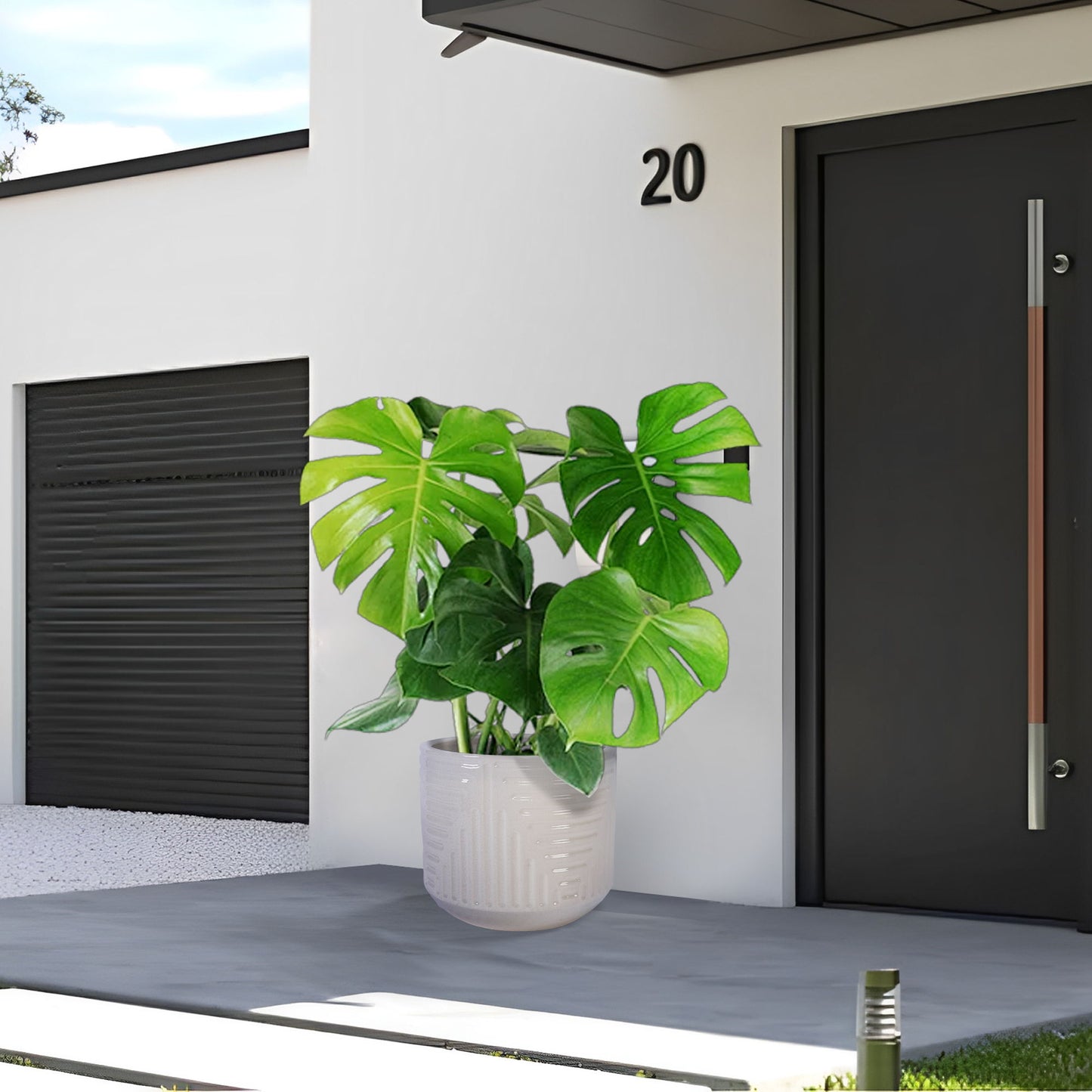 Versatile Flowerpot, Planter For Patio, Garden, Windowsill Daily Nest
