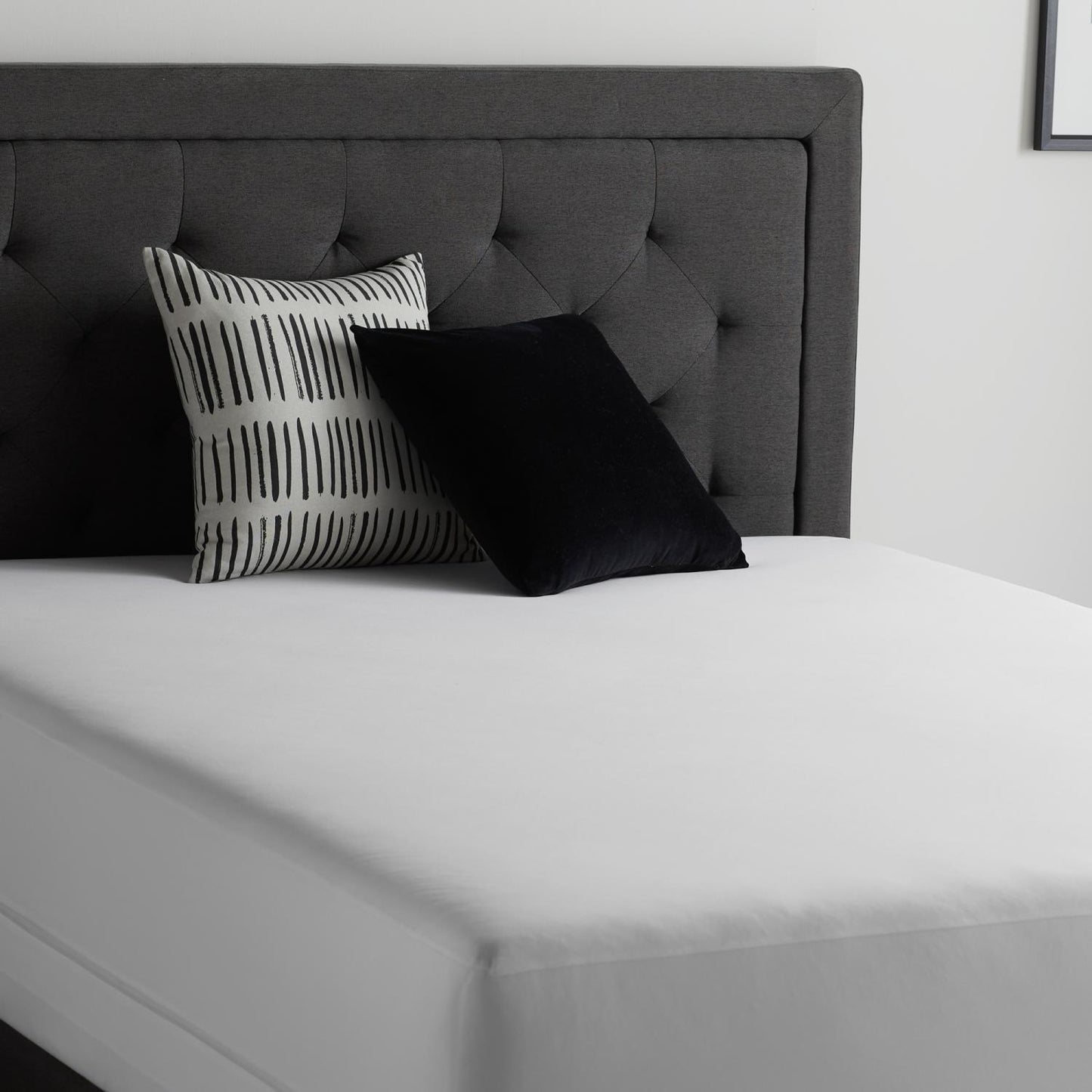 Encase HD Mattress Protector Malouf