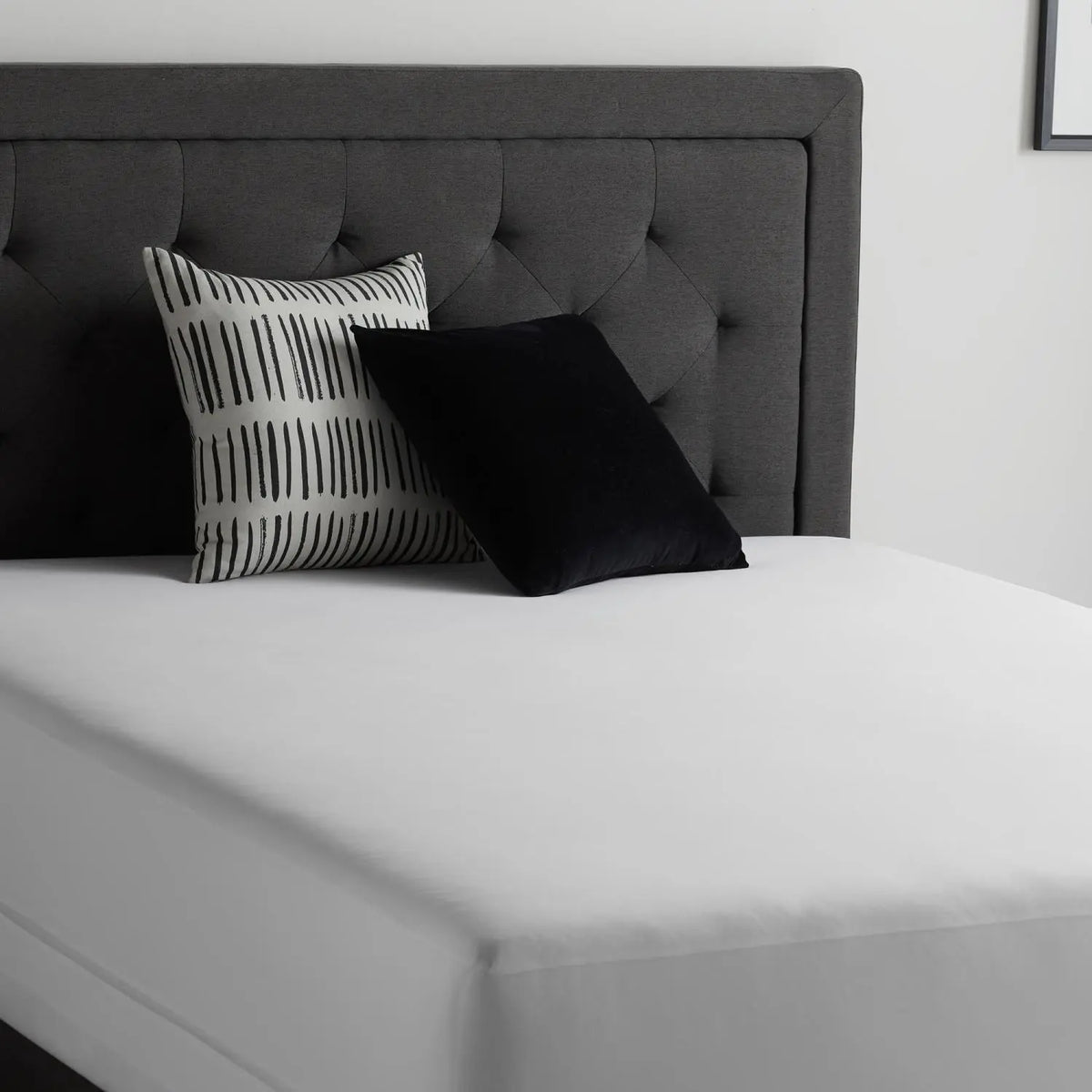 Encase HD Mattress Protector Malouf