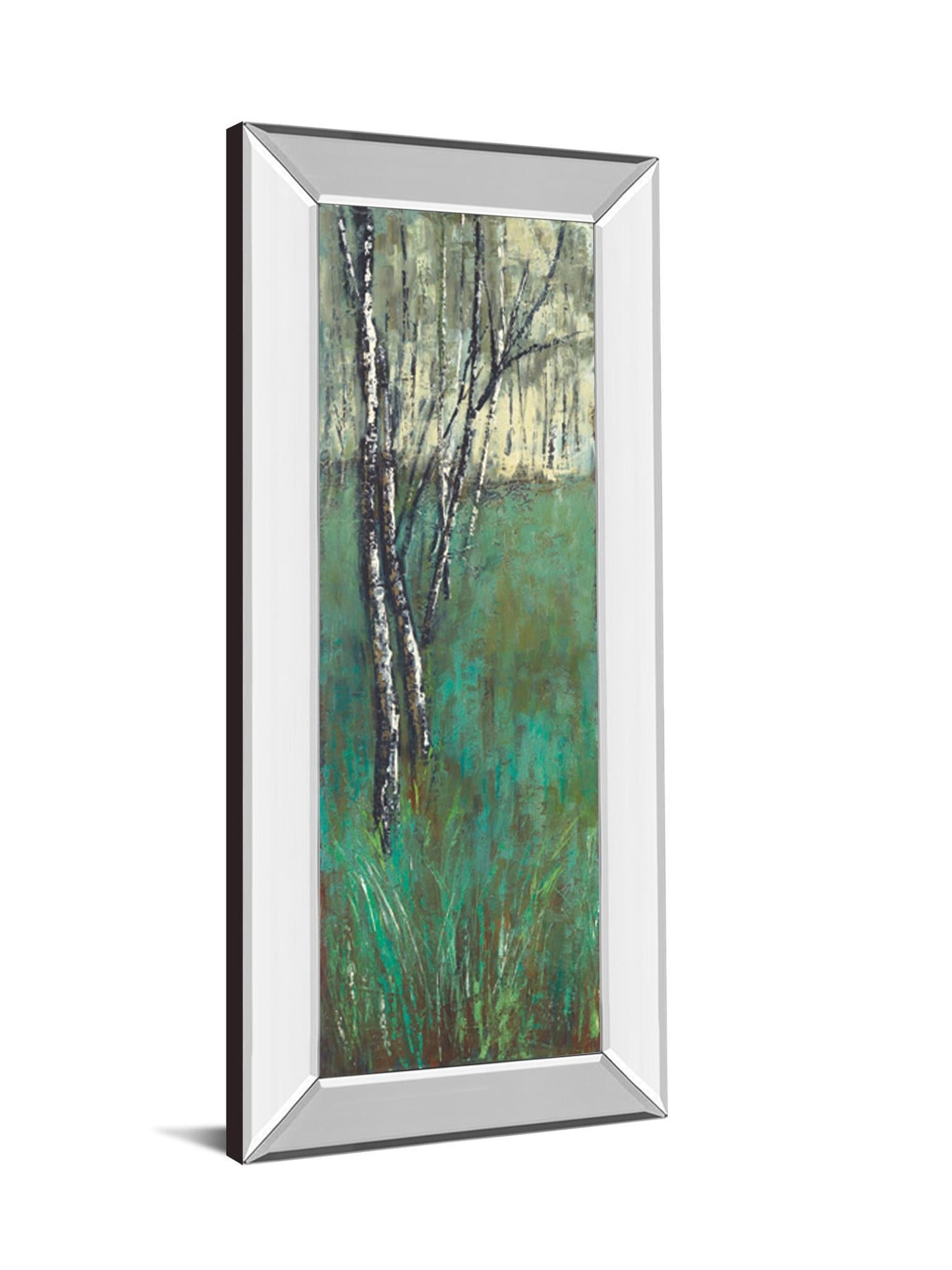 Nature Companion I By Solis - Mirror Framed Print Wall Art - Blue - Snoozhouse