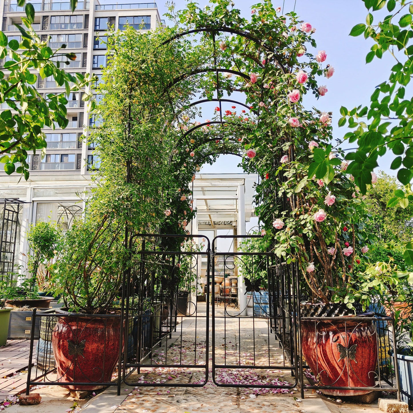 Metal Garden Arch With Gate High Climbing Plants Support Rose Arch Outdoor - Black Daily Nest