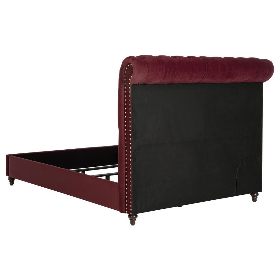 Devon - Upholstered Panel Bed CoasterEssence