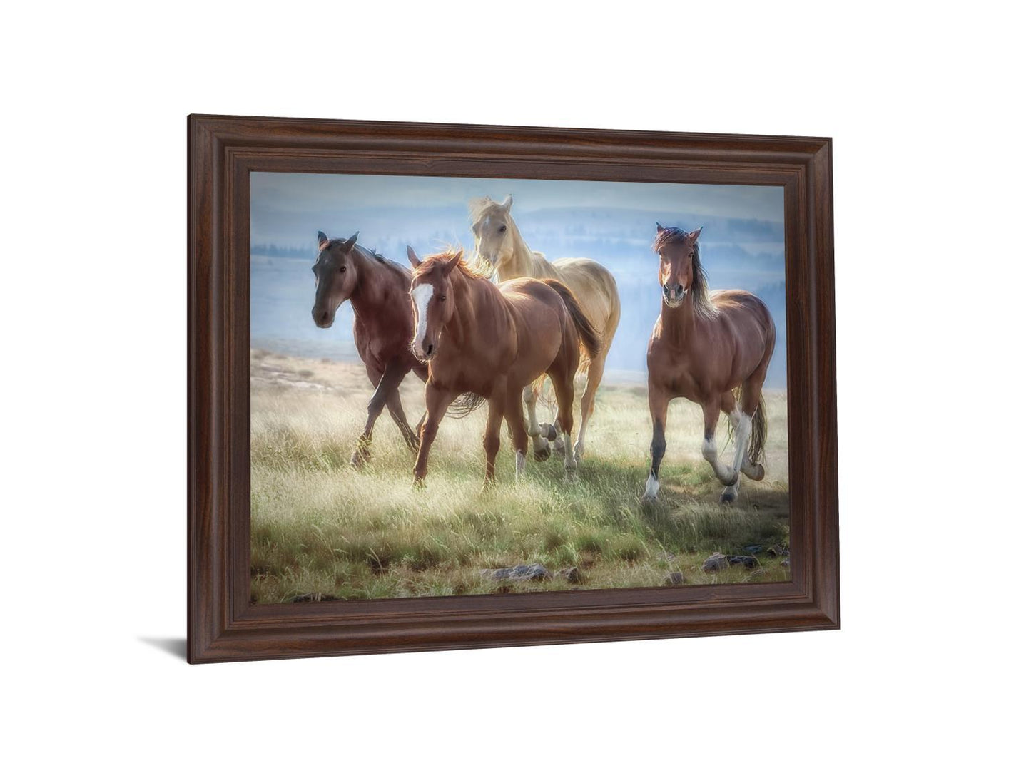 Wild Meadow Gallop - 28" x 34" Framed Wall Art Classy Art