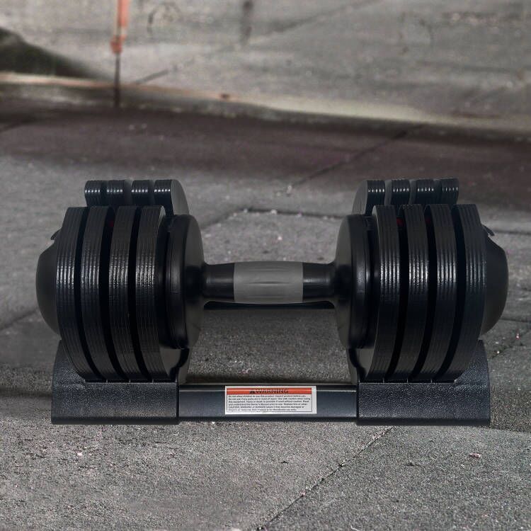 22Lbs Adjustable Dumbbell Steel And Plastic - Black Daily Nest