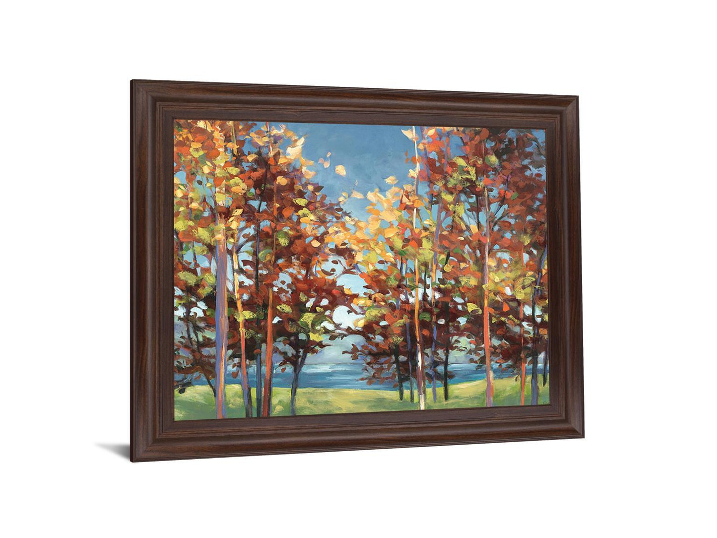 Vivid Grove - 28" x 34" Framed Wall Art Classy Art