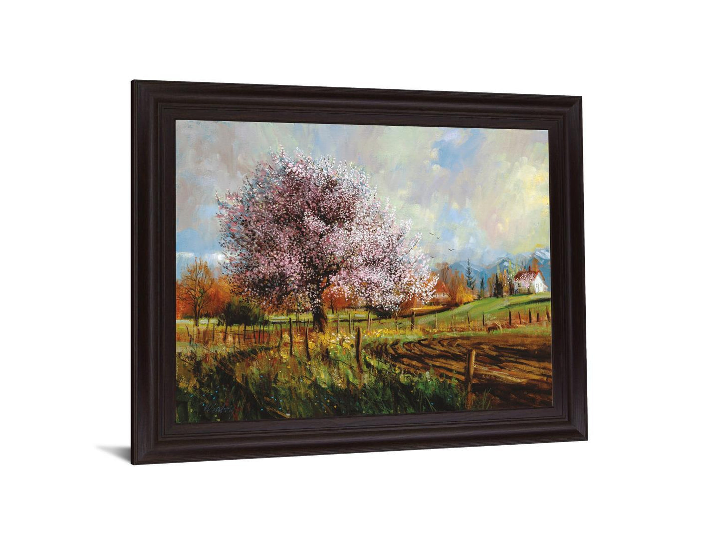 Blossom Meadow - 28" x 34" Framed Wall Art Classy Art