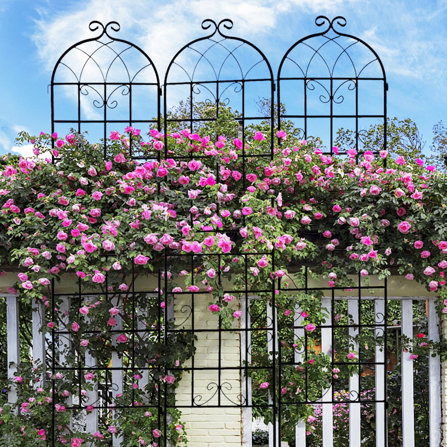Metal Garden Rustproof Trellis For Climbing Plants Outdoor Flower Support Daily Nest