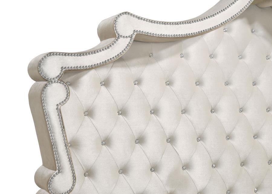 Antonella - Upholstered Panel Bed CoasterElevations