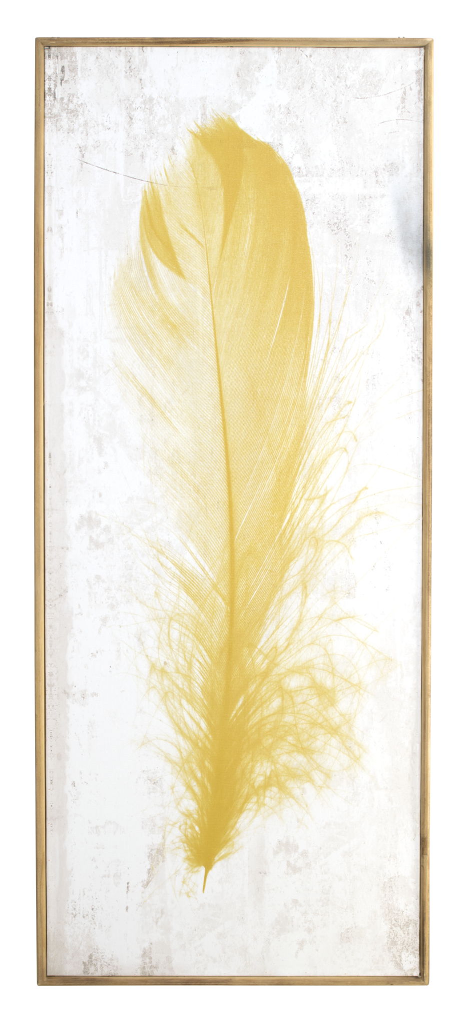 Yellow Feather - Yellow Classy Living