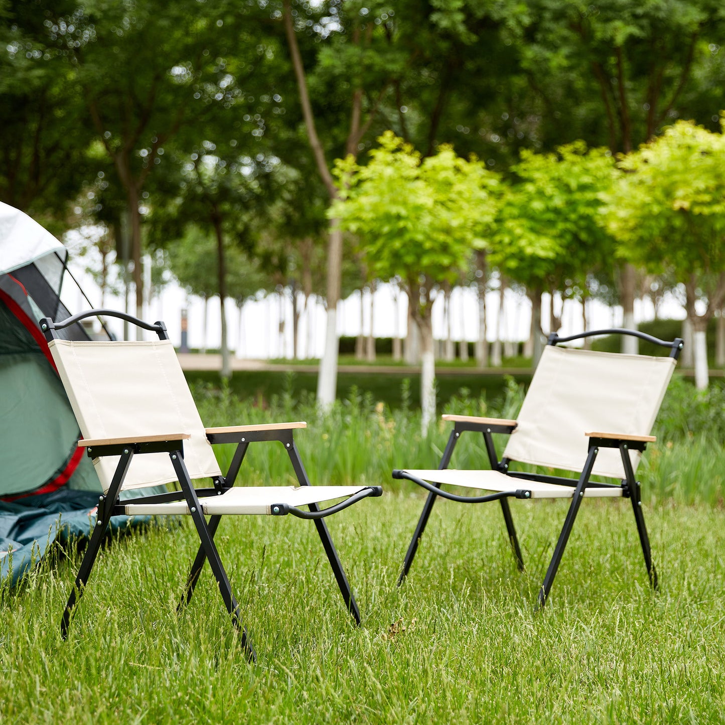 Folding Outdoor Chair For Indoor, Outdoor Camping, Picnics, Beach, Backyard, Bbq, Party, Patio Home Essentials