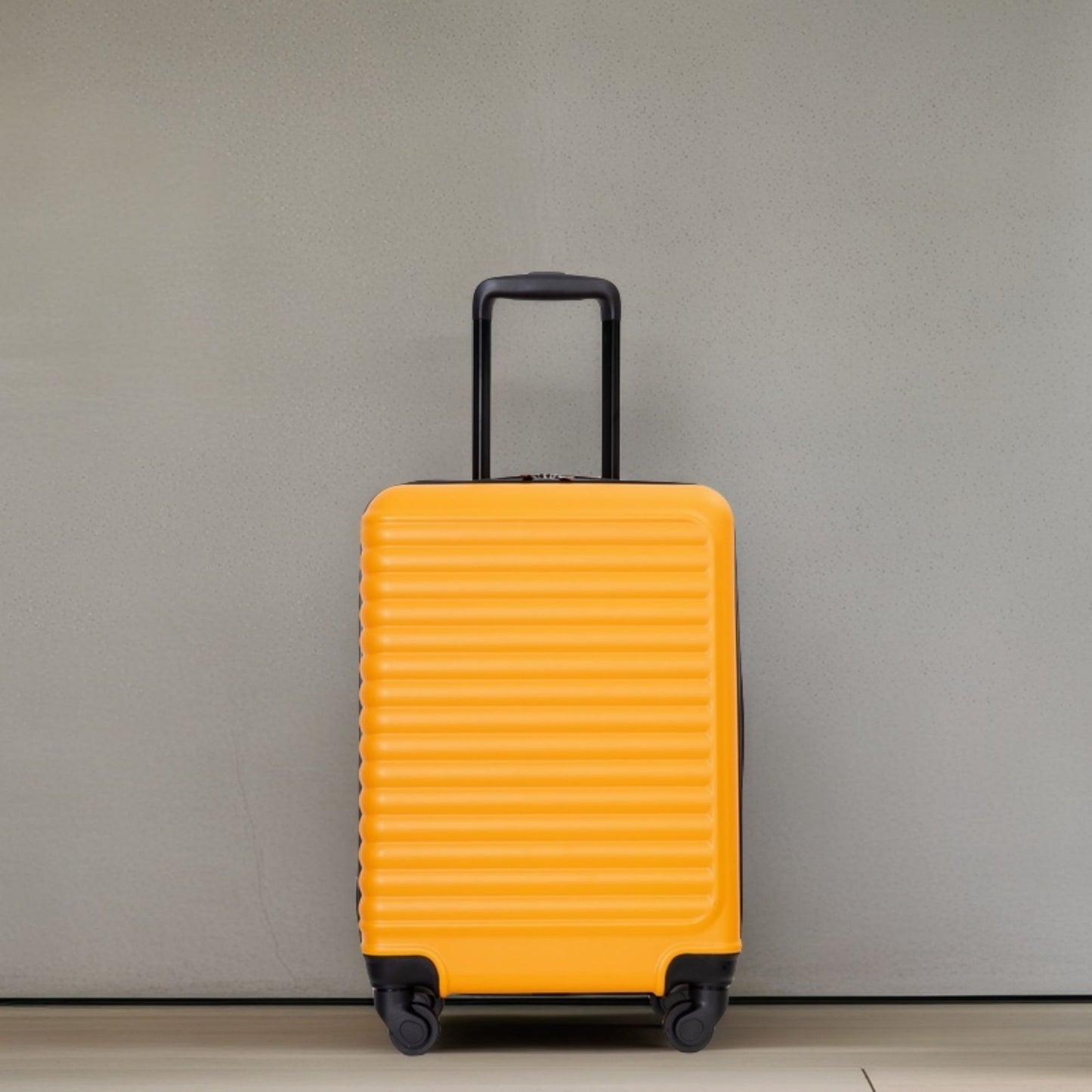 20" Carry On Luggage Lightweight Suitcase, Spinner Wheels Daily Nest