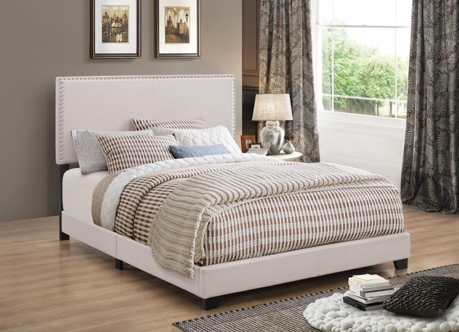 Boyd - Upholstered Panel Bed CoasterEveryday