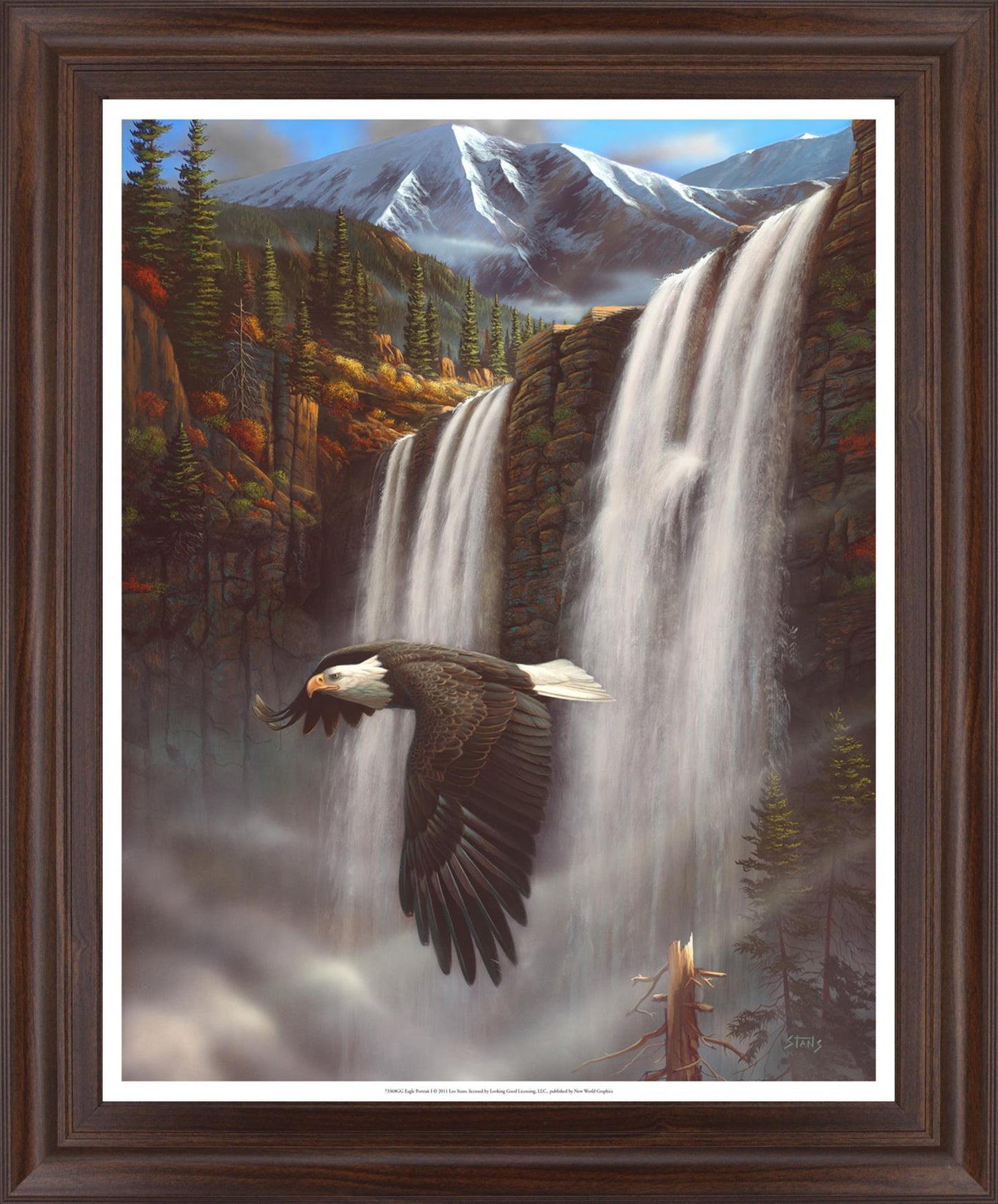 Soaring Above Falls - 28" x 34" Framed Wall Art Classy Art