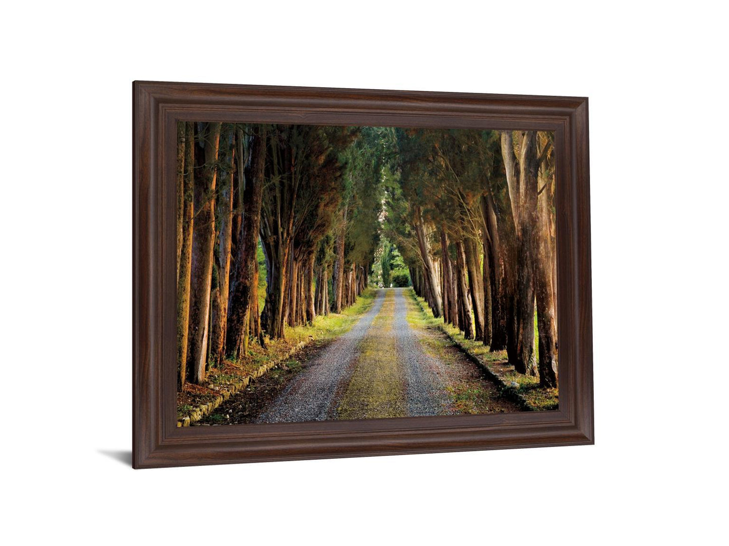 Woodland Passage - 28" x 34" Framed Wall Art Classy Art