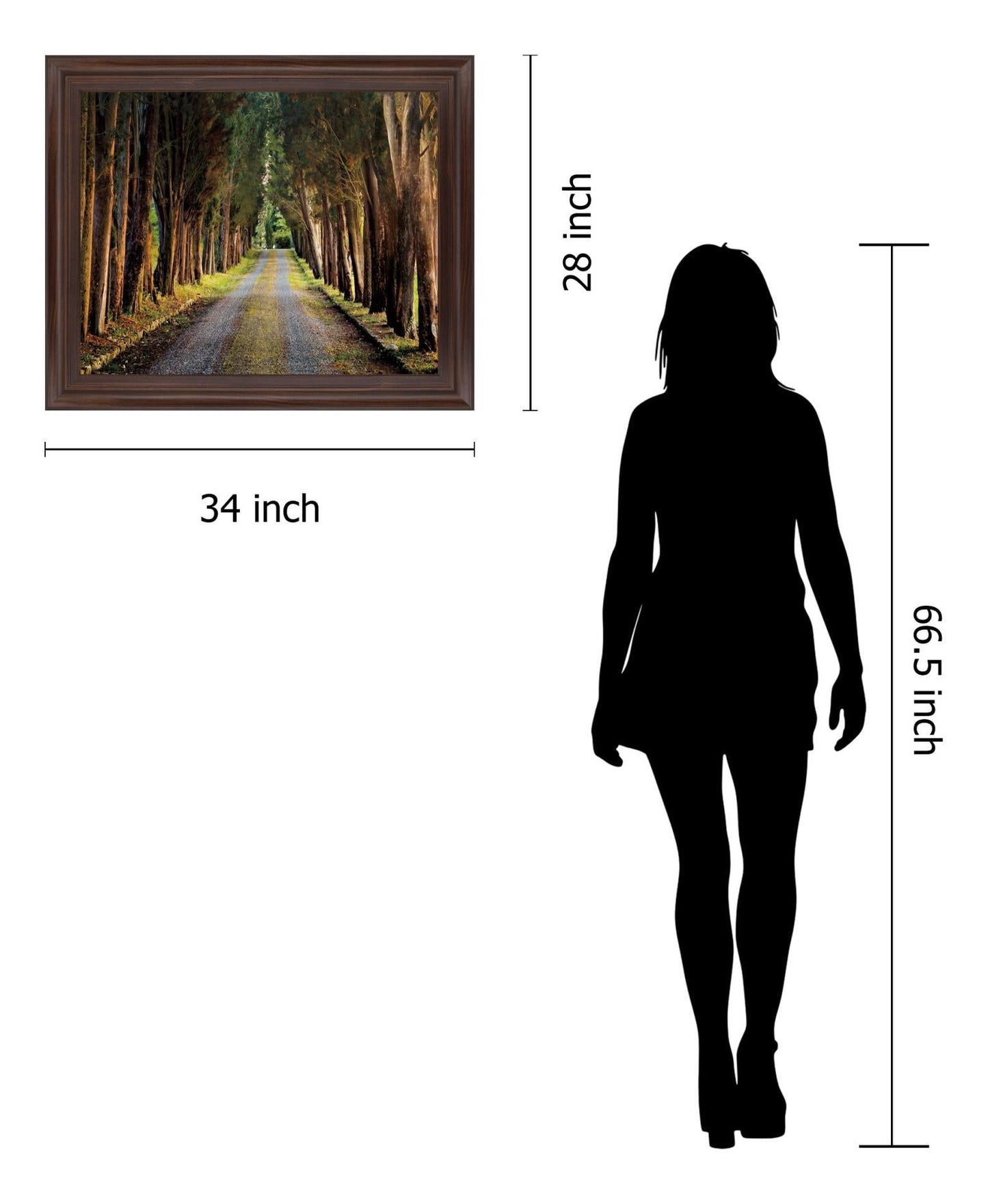 Woodland Passage - 28" x 34" Framed Wall Art Classy Art