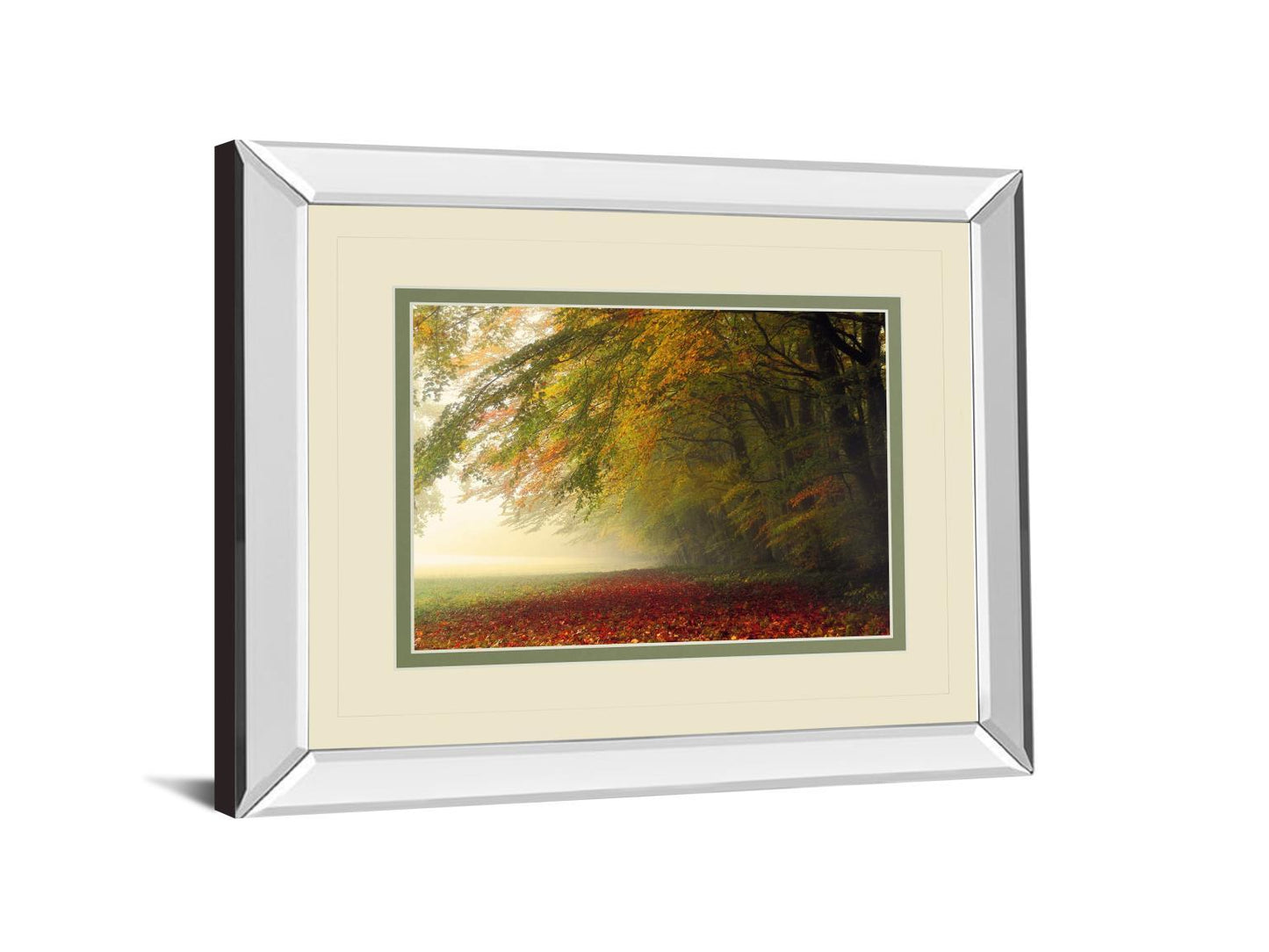 Your Beauty Silences Me By Irene Weisz - Mirror Framed Print Wall Art - Green Classy Living