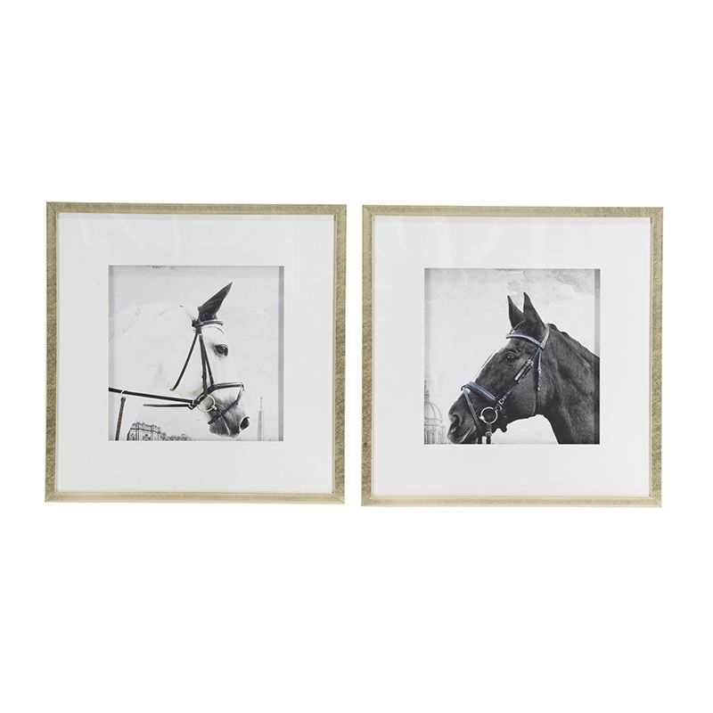 Wall Art Horse Animal Printing, Wall Decor Accent (Set of 2) - Golden / White Daily Nest