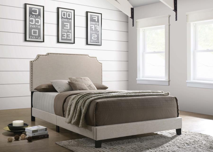 Tamarac - Upholstered Panel Bed CoasterEveryday