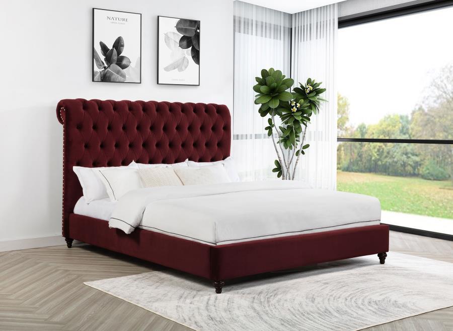 Devon - Upholstered Panel Bed CoasterEssence