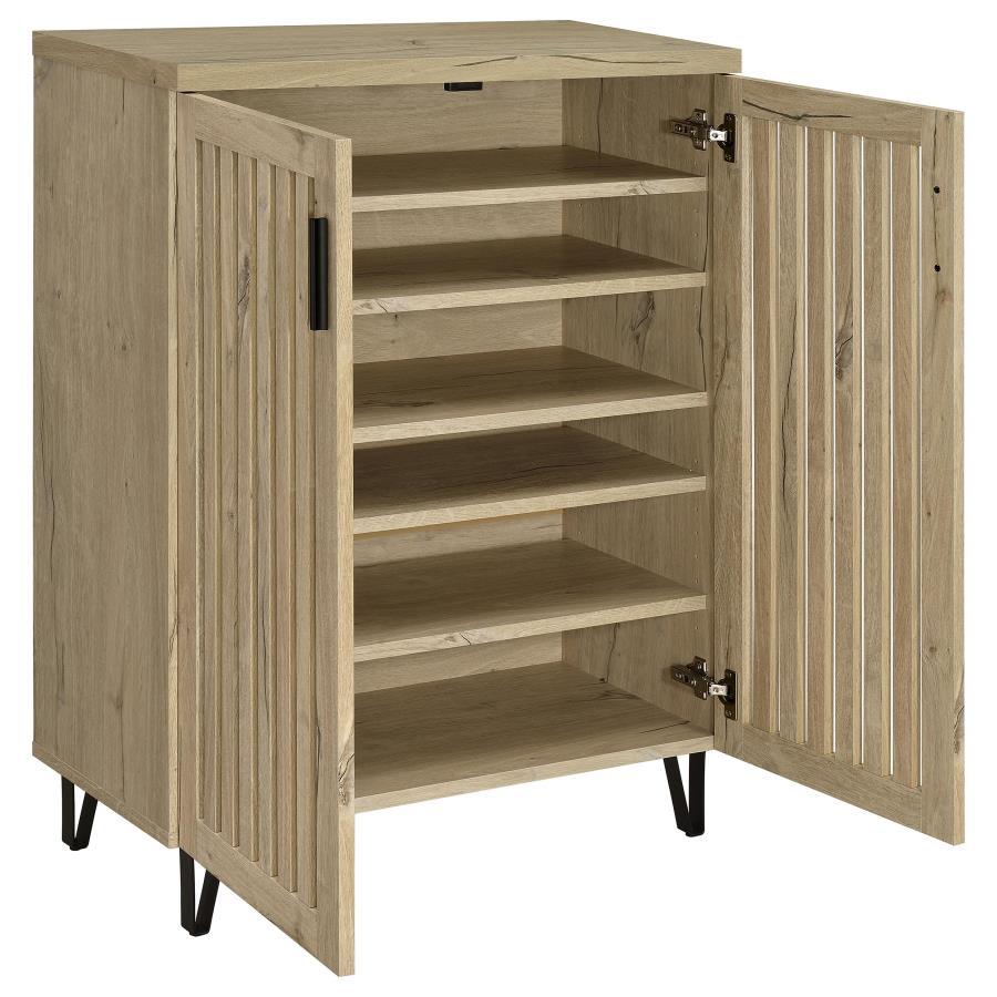 Brixton - 2-Door Entryway Shoe Storage Cabinets Coaster Fine Furniture