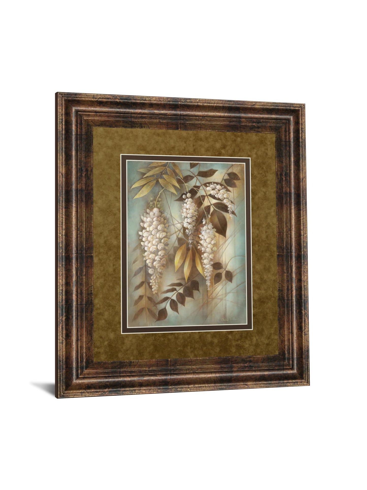 Wisteria Lane Il By Eliane Volherbst-Lane - Framed Print Wall Art - White Classy Living