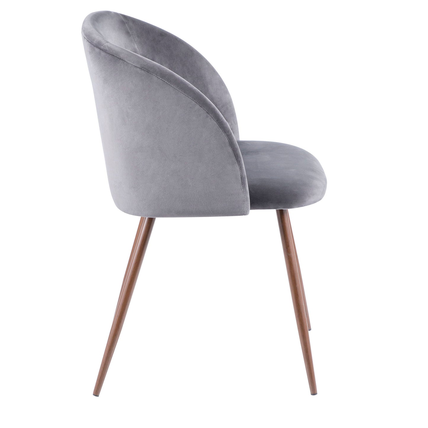 Fran - Contemporary Dining Chair (Set of 2) Lumi Source