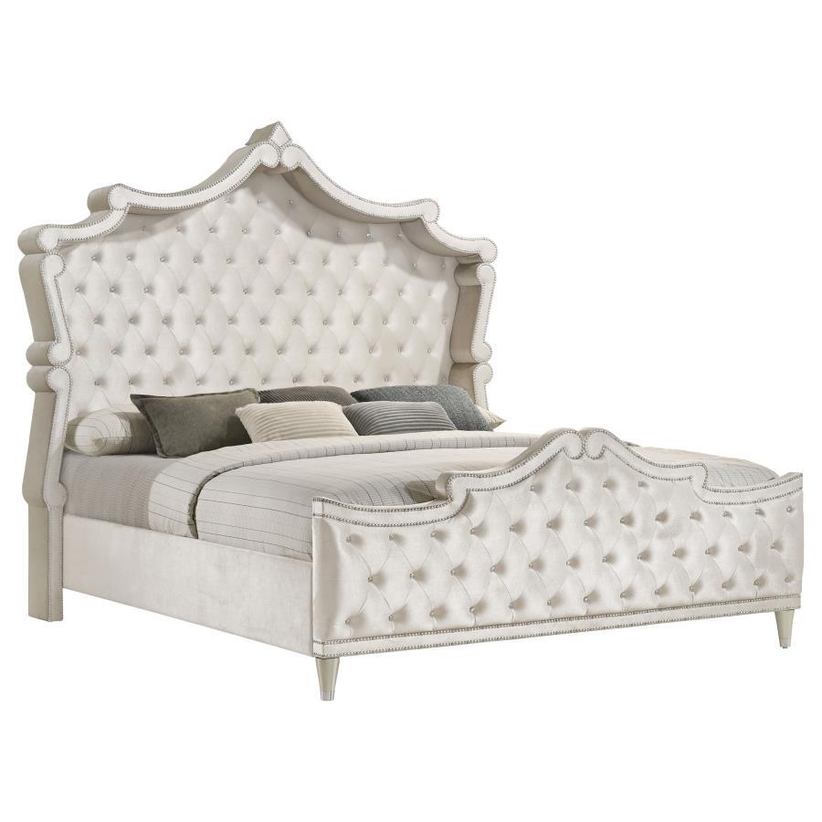 Antonella - Upholstered Panel Bed CoasterElevations
