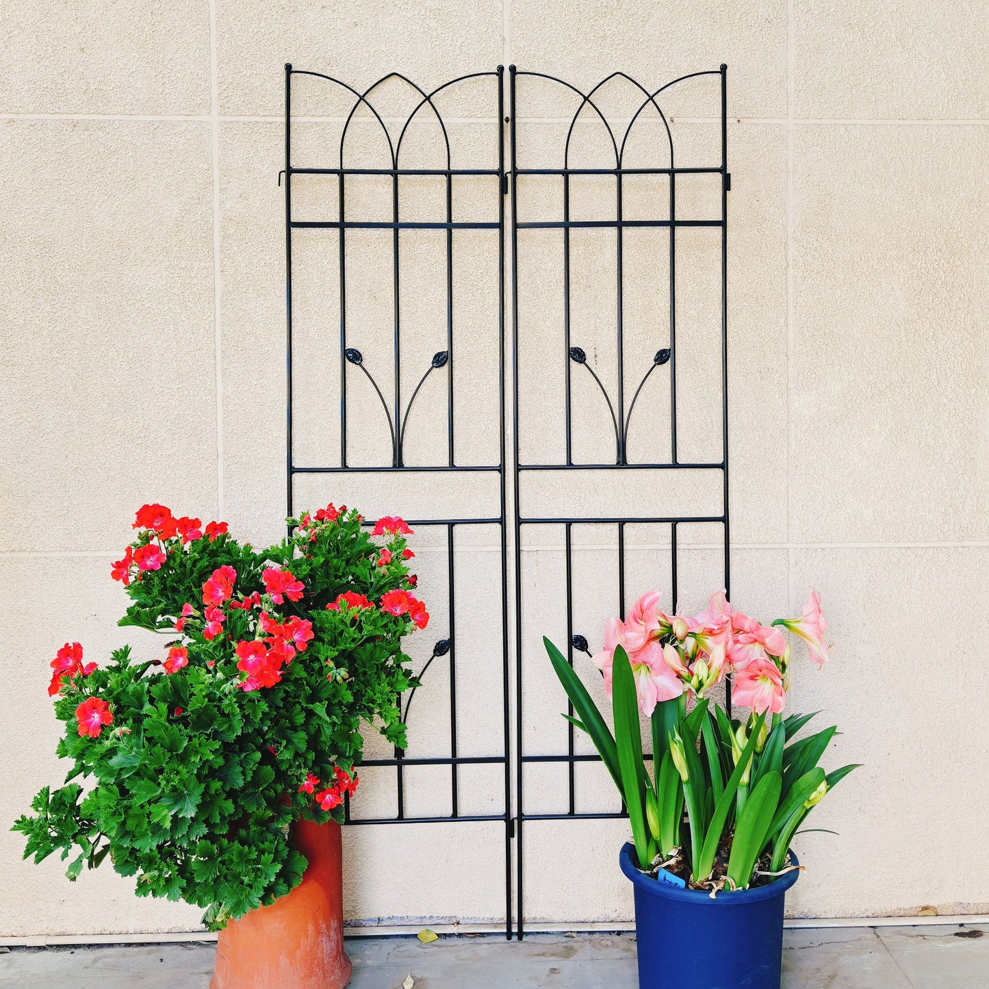 Metal Garden Trellis Rustproof For Climbing Plants Outdoor Flower Support Daily Nest