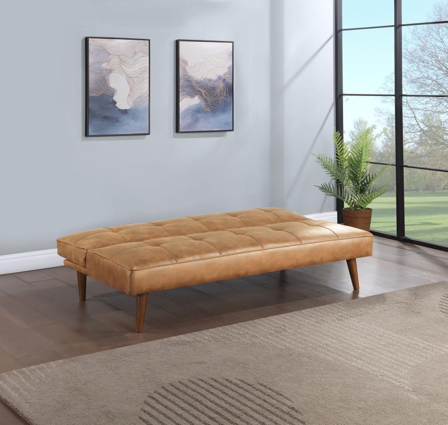 Jenson - Upholstered Tufted Convertible Sofa Bed Coaster Fine Furniture