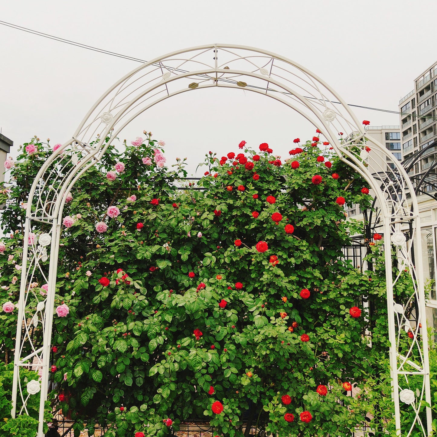 Metal Garden Arch Assemble Freely With 8 Styles Garden Arbor Trellis Climbing Plants Support Rose Arch Daily Nest