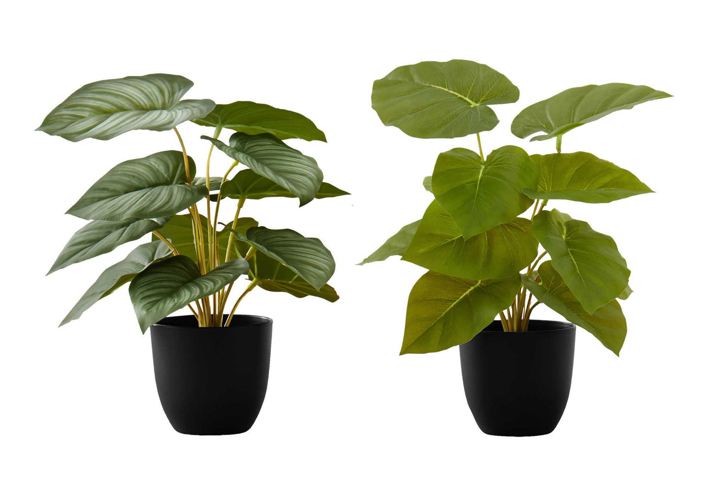 13" Tall, Artificial Plant, Epipremnum, Indoor, Faux, Fake, Table, Greenery, Potted, Decorative (Set of 2) - Green / Black 8th Street