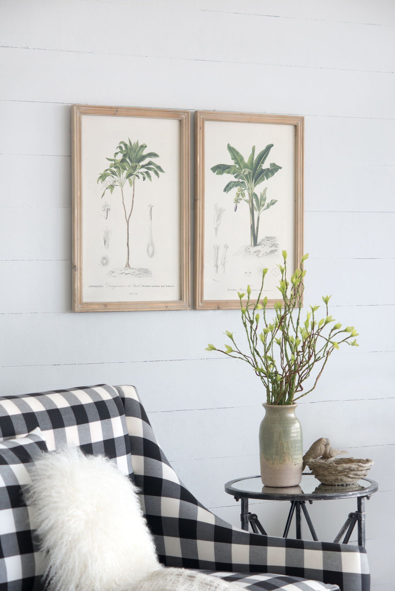 Tree Framed Print (Set of 2) - Multicolor Daily Nest