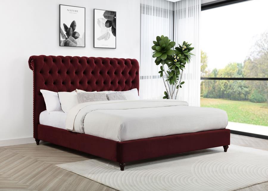 Devon - Upholstered Panel Bed CoasterEssence