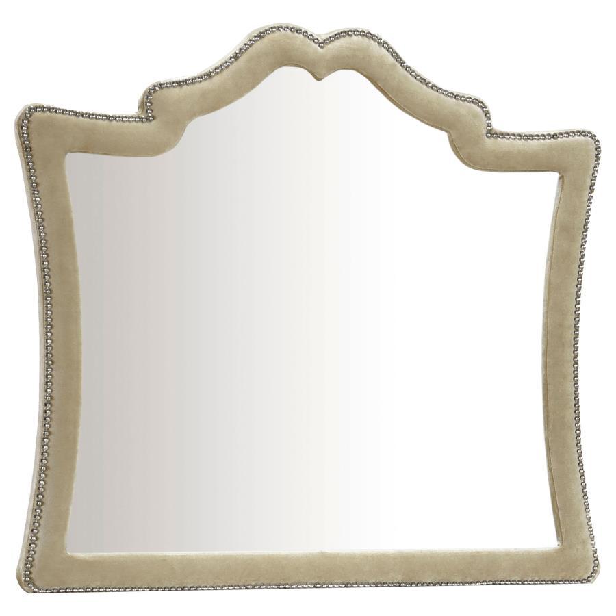 Antonella - Upholstered Dresser Mirror CoasterElevations