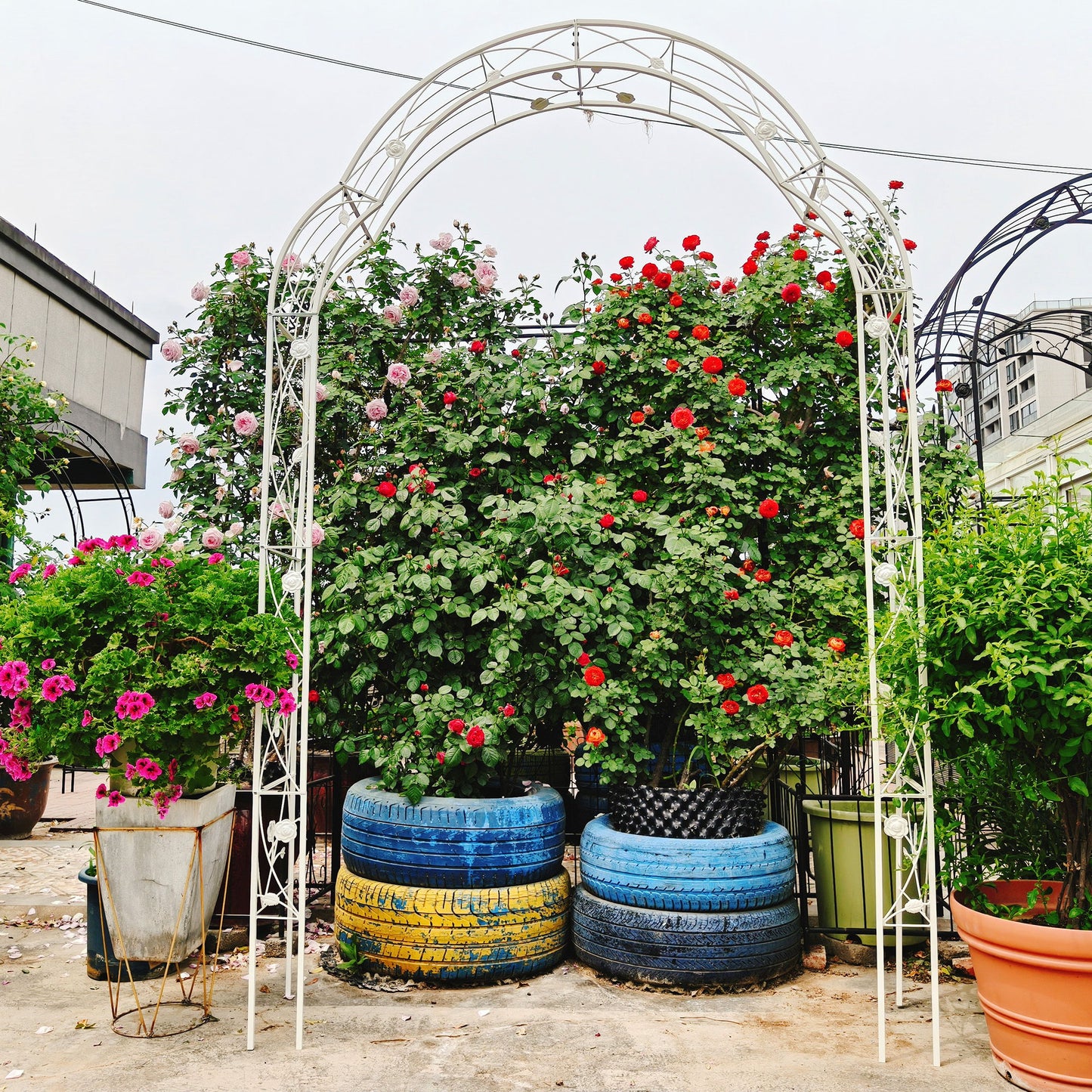 Metal Garden Arch Assemble Freely With 8 Styles Garden Arbor Trellis Climbing Plants Support Rose Arch Daily Nest