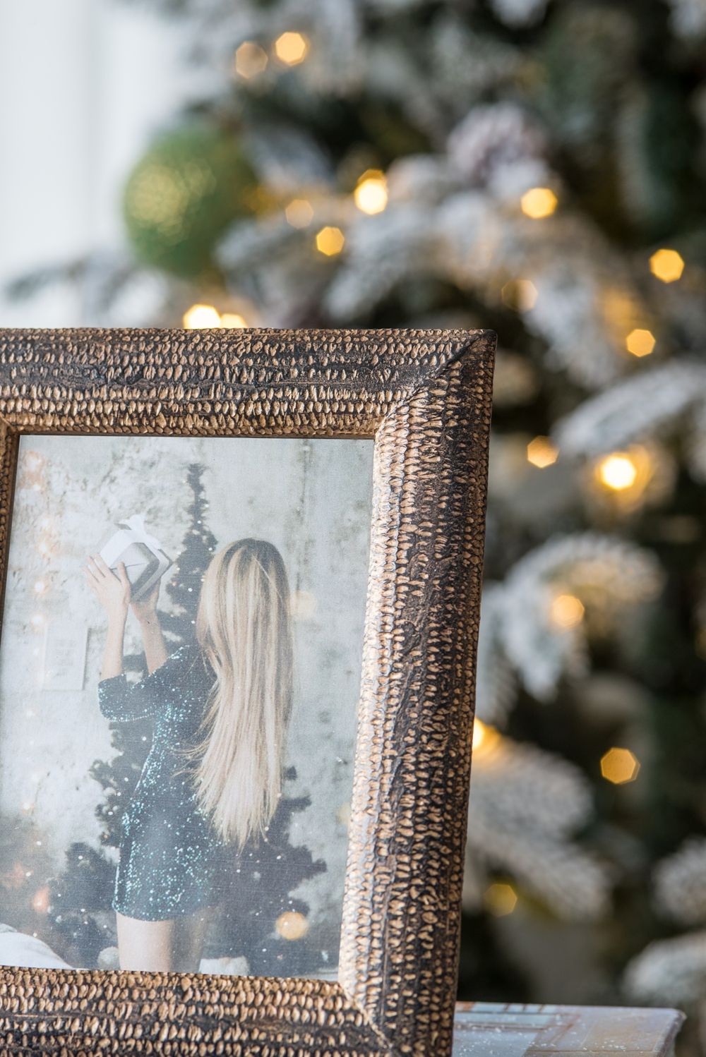 Vintage Photo Frame - Multi Daily Nest