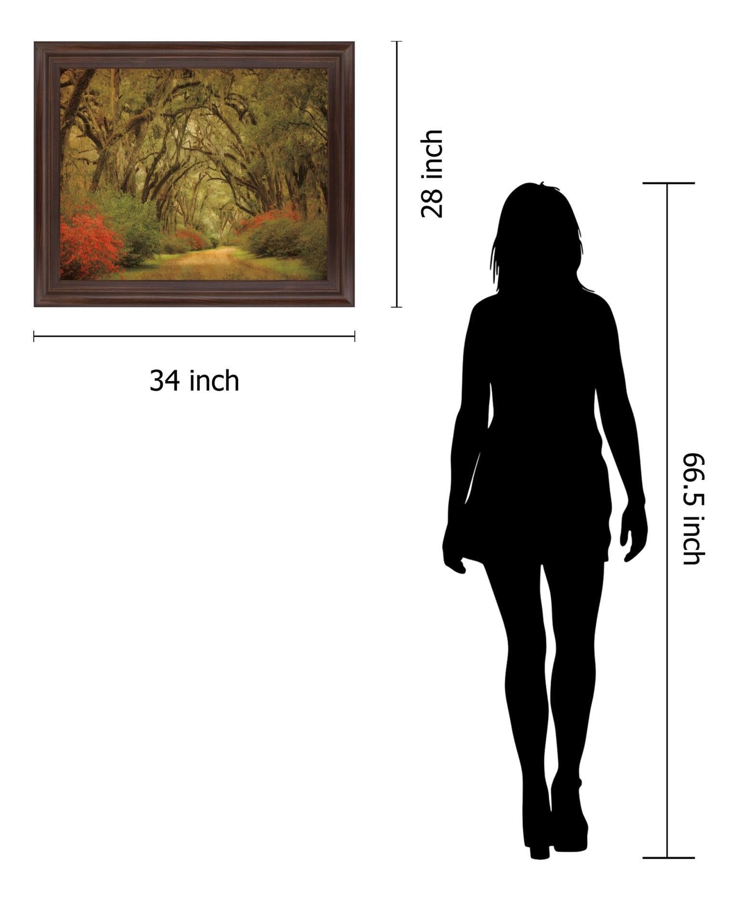 Mossy Woodland Trail - 28" x 34" Framed Wall Art Classy Art