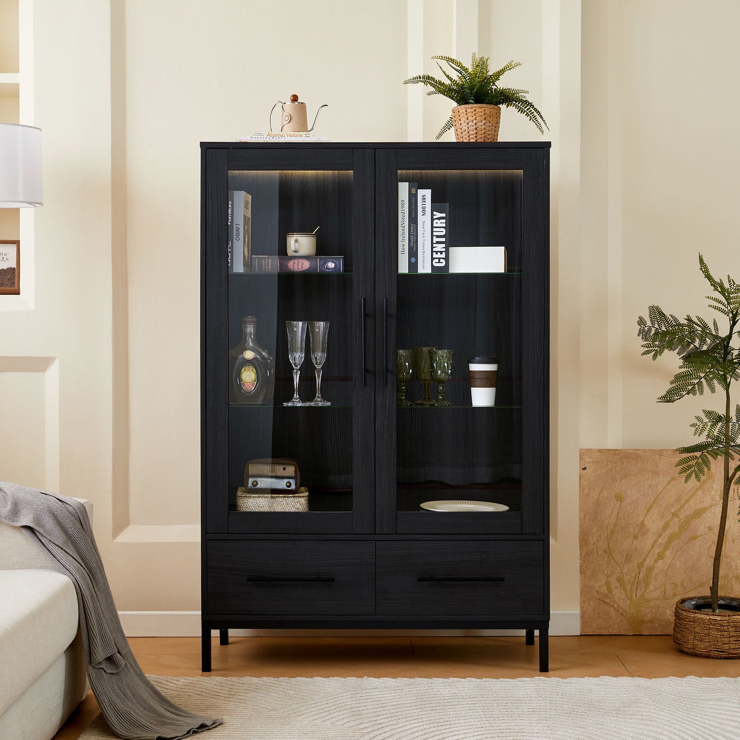 Modern Style Tall Display Cabinet With LED Lighting, Tempered Glass Door, 2 Drawers Hearth and Haven