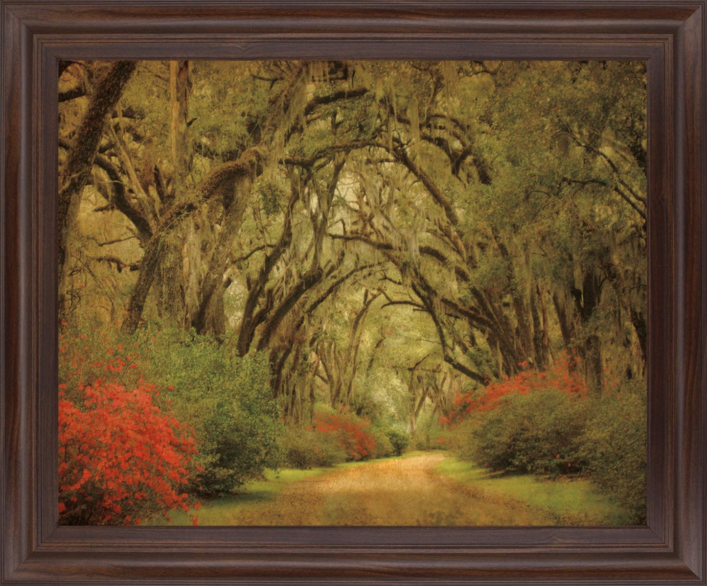 Mossy Woodland Trail - 28" x 34" Framed Wall Art Classy Art