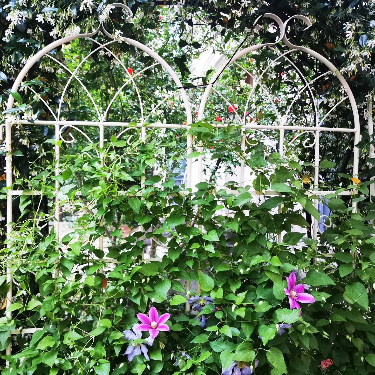 Metal Garden Rustproof Trellis For Climbing Plants Outdoor Flower Support Daily Nest