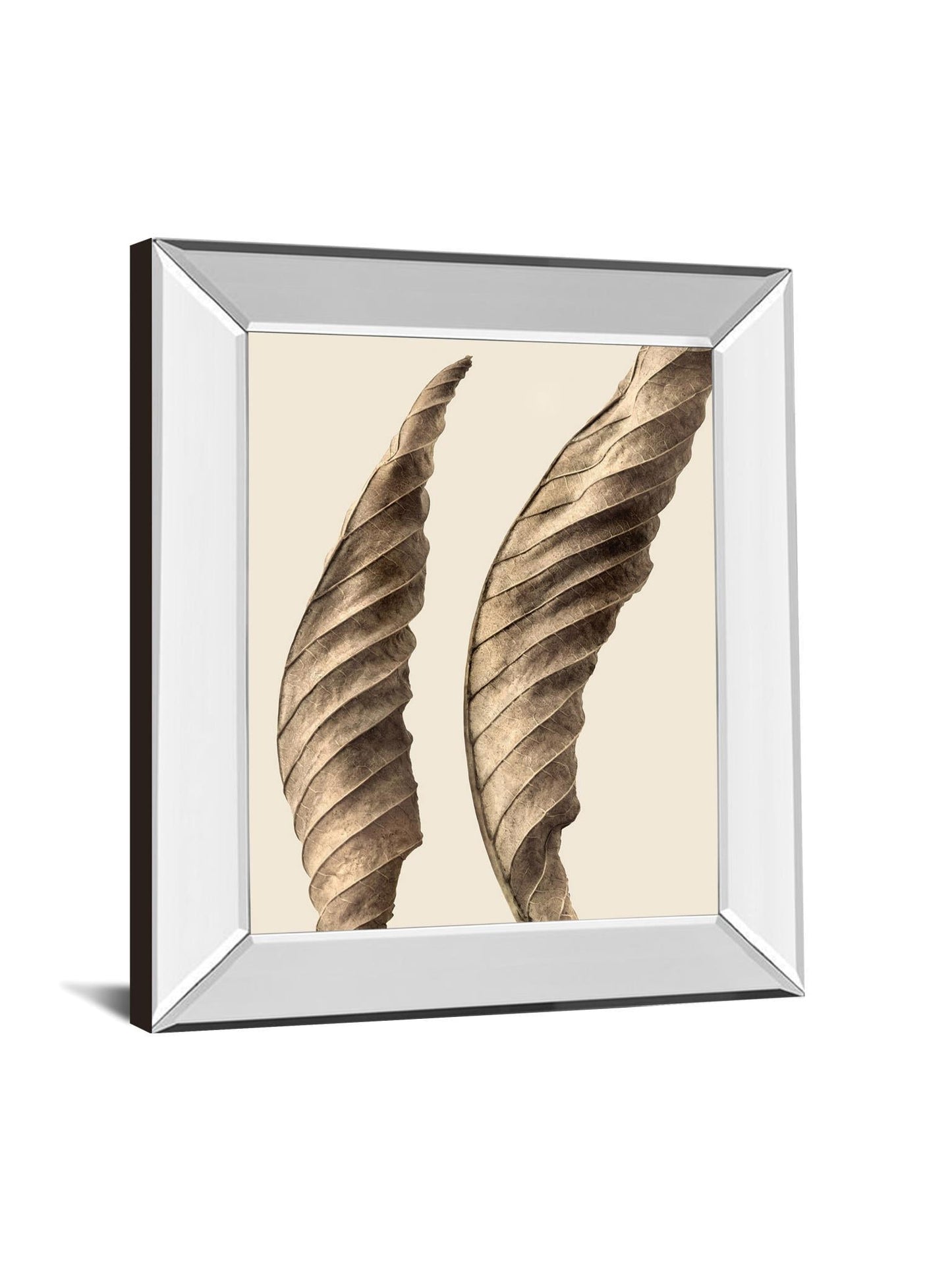 Turning Leaves I By Jeff Friesen - Mirror Framed Print Wall Art - Dark Brown - Snoozhouse