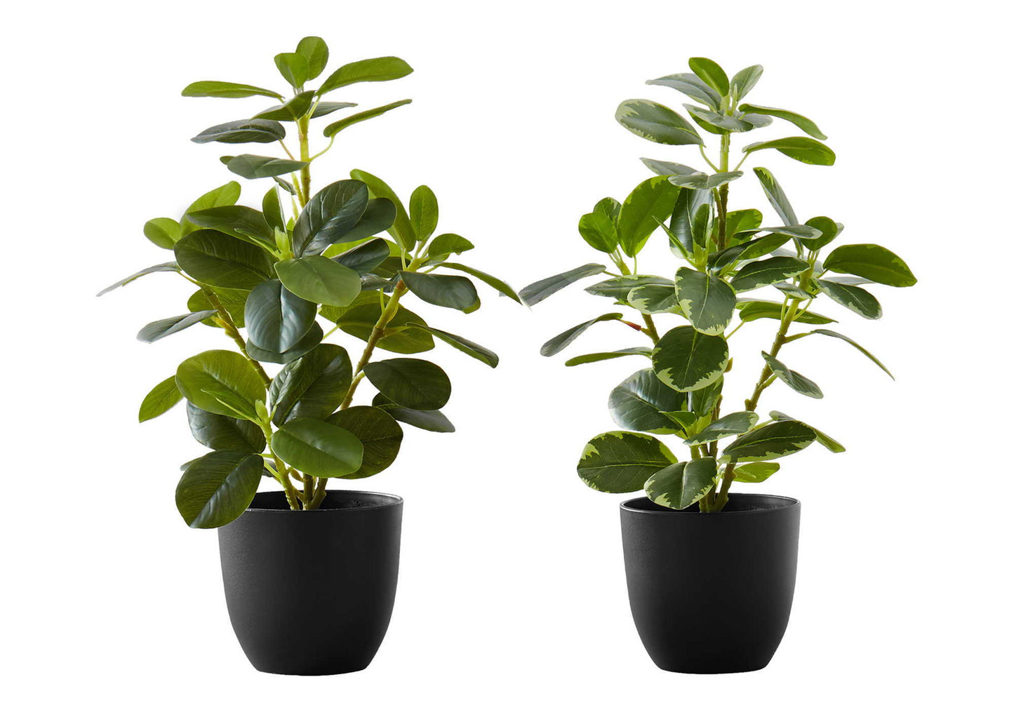 14" Tall, Artificial Plant, Ficus, Indoor, Faux, Fake, Table, Greenery, Potted, Decorative (Set of 2) - Green / Black 8th Street